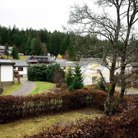 Hotel Zum See, Titisee Zewnętrze zdjęcie