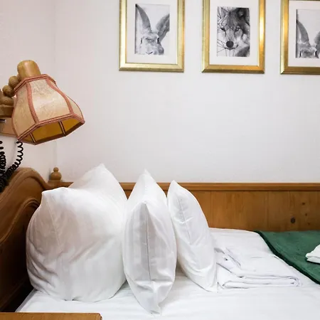 Hotel Zum See, Titisee Zewnętrze zdjęcie